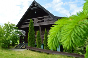 Hotels in Naguszewo